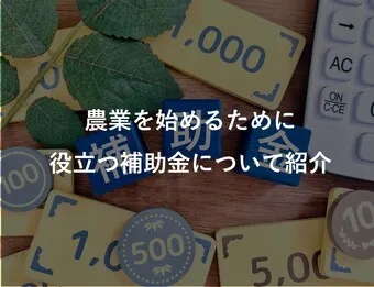 農業を始めるために役立つ補助金について紹介