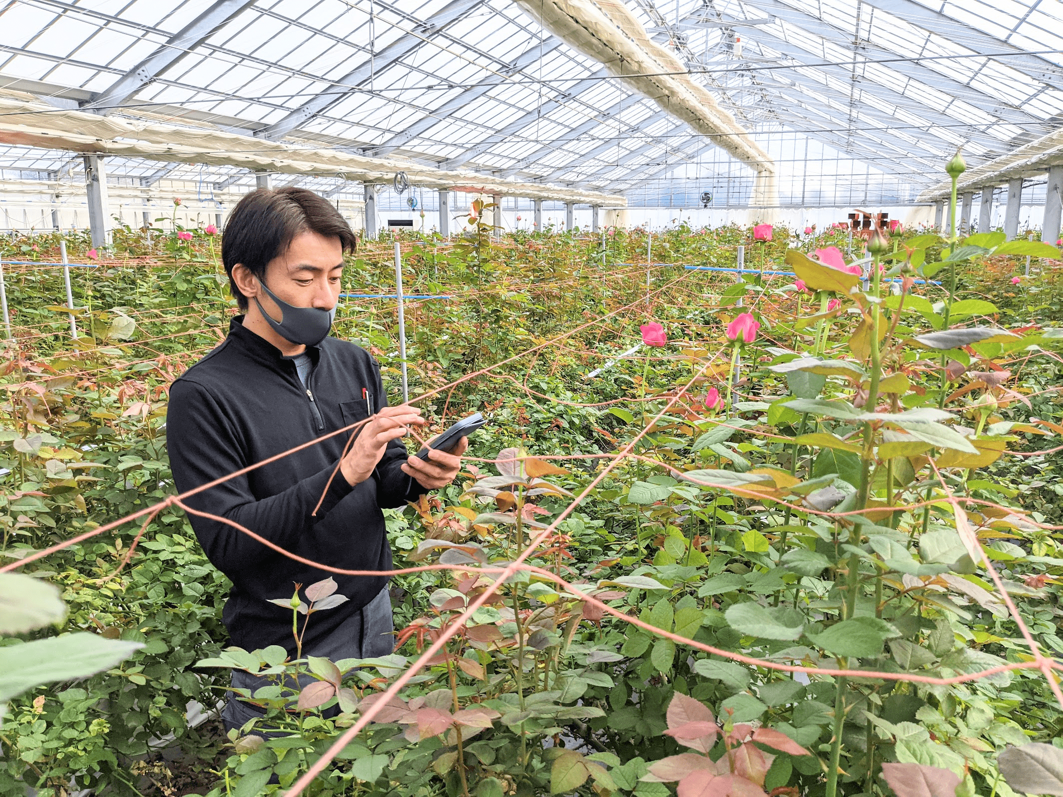 遠隔でもカンタン操作で生産性アップ