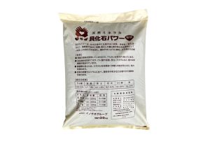 貝化石パワー_裏