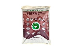 貝化石パワー_表