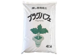 プラグパフェの画像