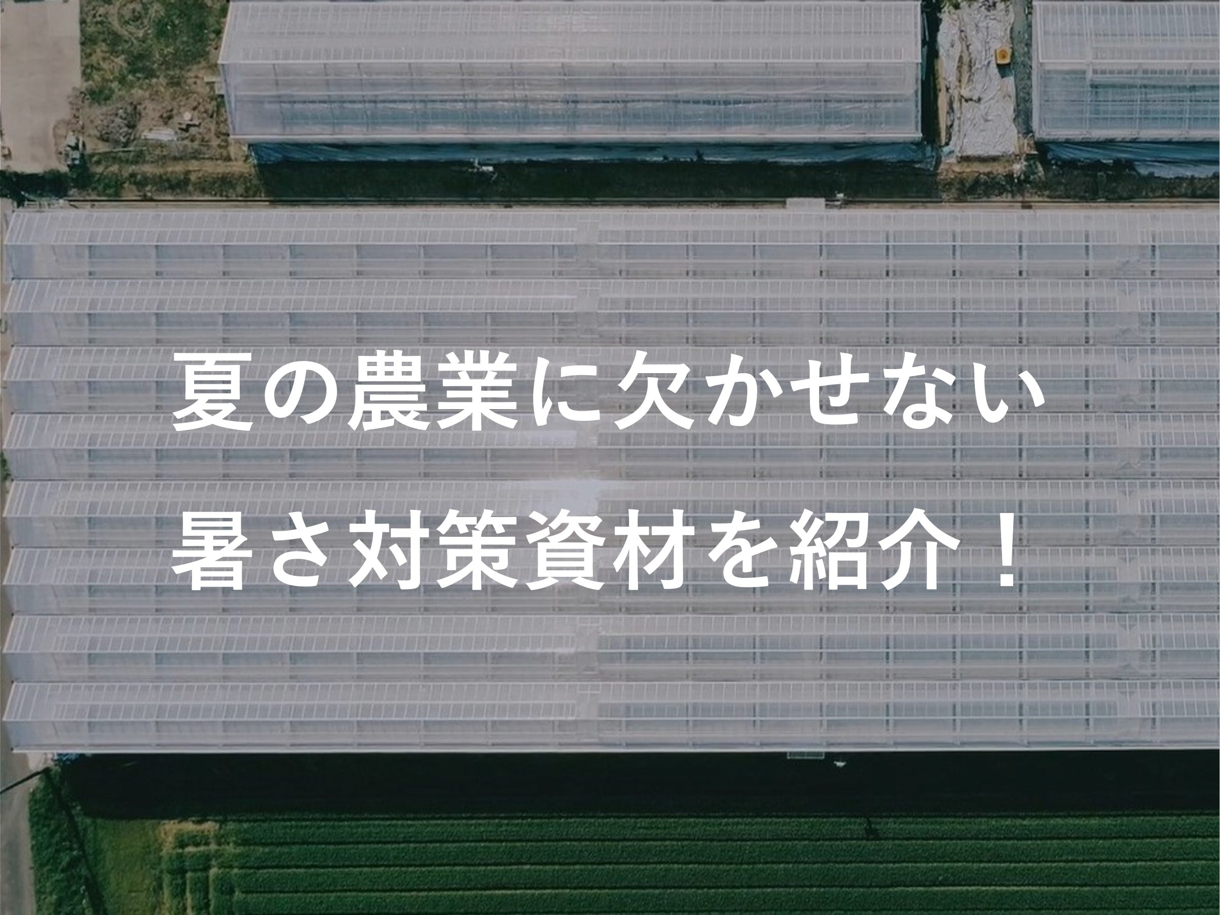 夏の農業に欠かせない暑さ対策資材を紹介！ | コラム | イノチオグループ