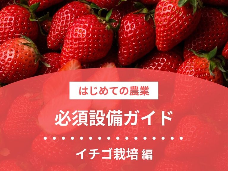 必須設備ガイド｜イチゴ栽培編