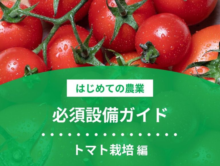 必須設備ガイド｜トマト栽培編