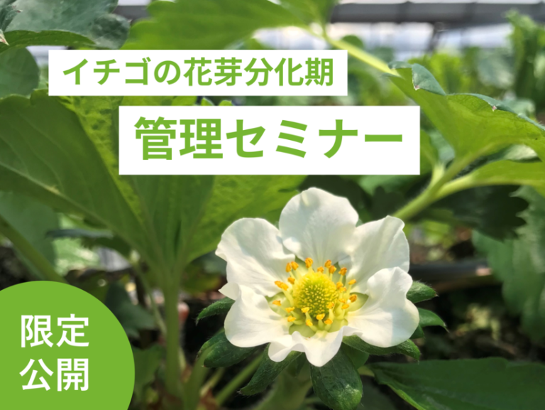 イチゴの花芽分化管理セミナー※8月上旬頃公開予定