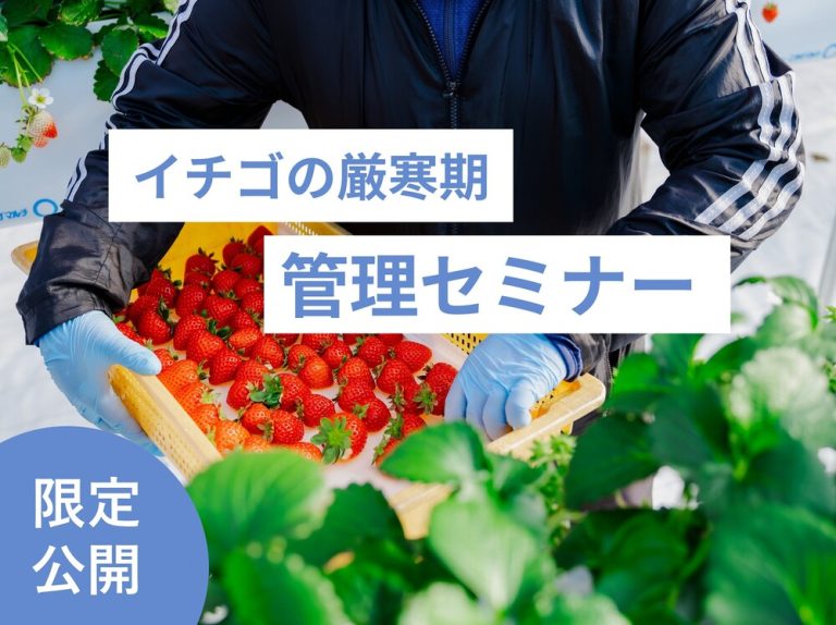 イチゴの厳寒期管理セミナー※11月上旬頃公開予定